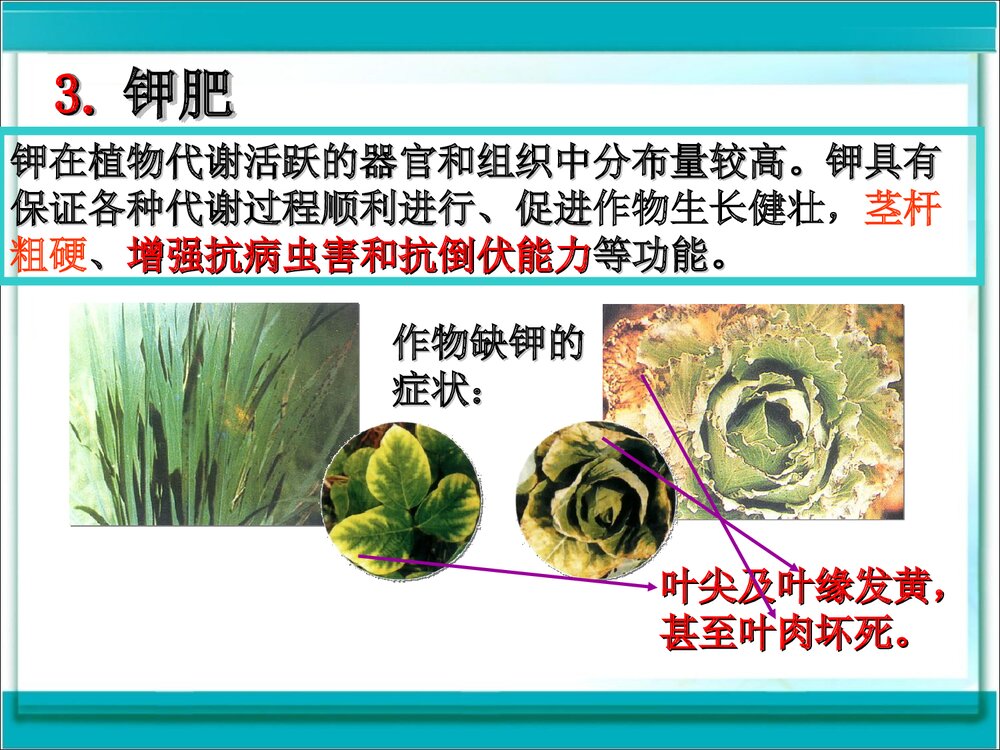 《第十一单元 盐 化肥课题2 化学肥料》初中化学九年级下册课件PPT下载9