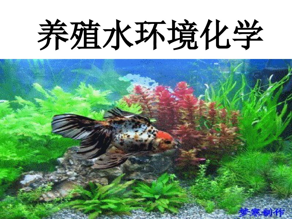 养殖水环境化学PPT课件下载(共58页)1