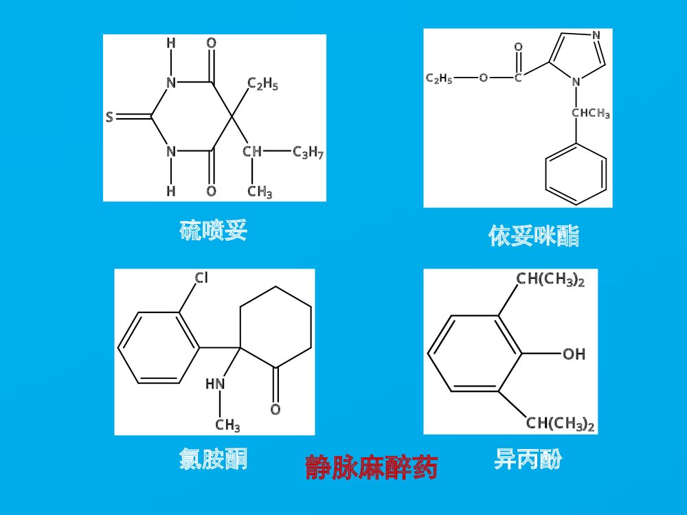 《药物化学》药学导论PPT课件下载7