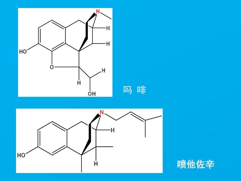 《药物化学》药学导论PPT课件下载8