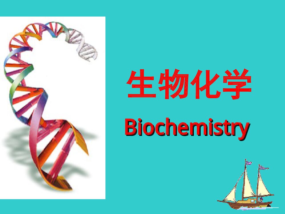 生物化学 第二章 蛋白质化学式课件PPT下载1