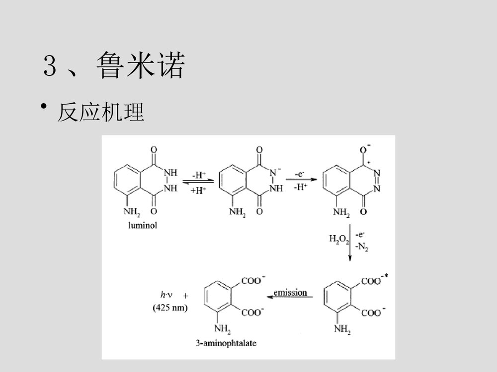 电致化学发光PPT课件下载8