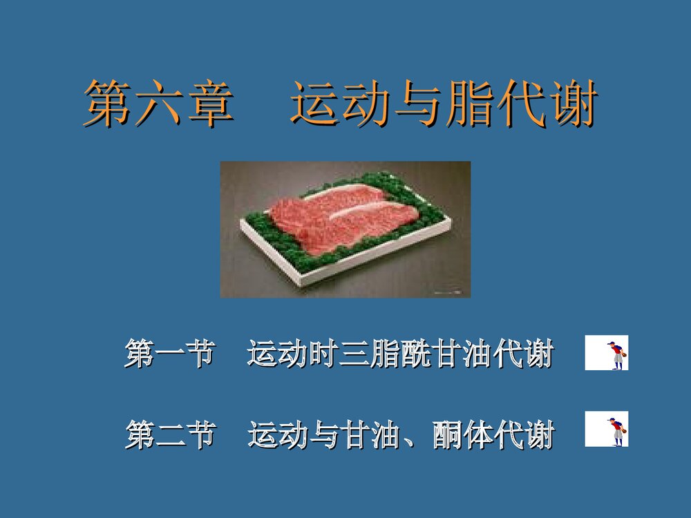 第六章 运动与脂代谢PPT化学课件（共44页）1