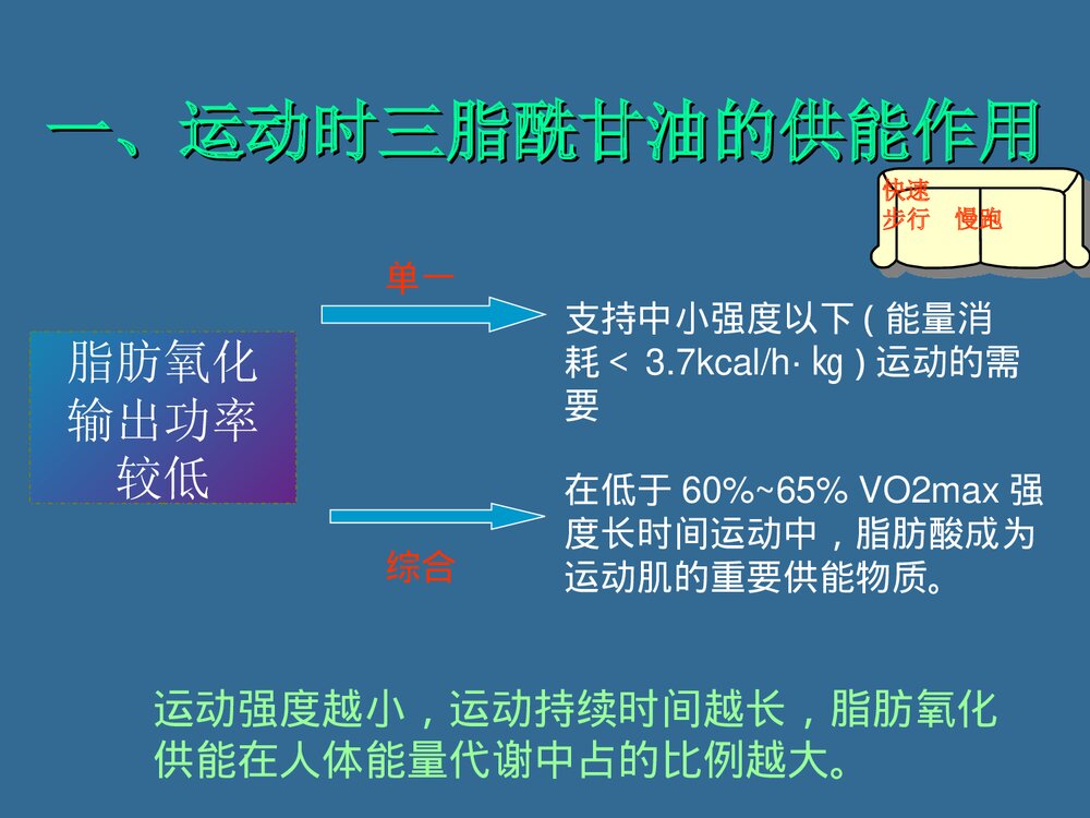 第六章 运动与脂代谢PPT化学课件（共44页）3