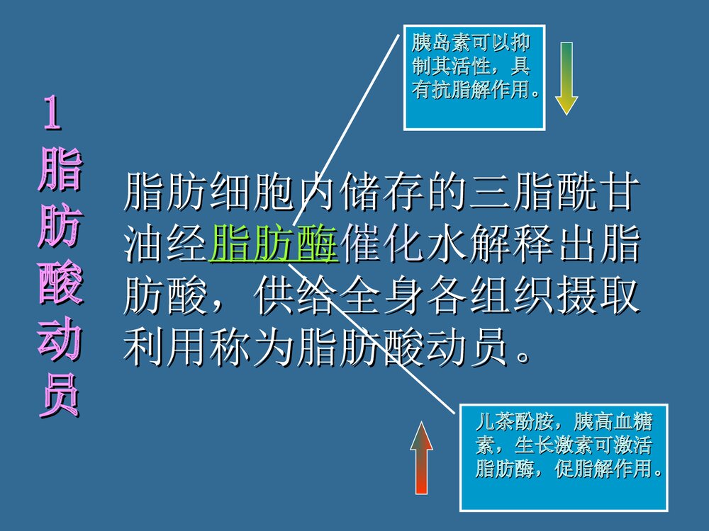 第六章 运动与脂代谢PPT化学课件（共44页）9