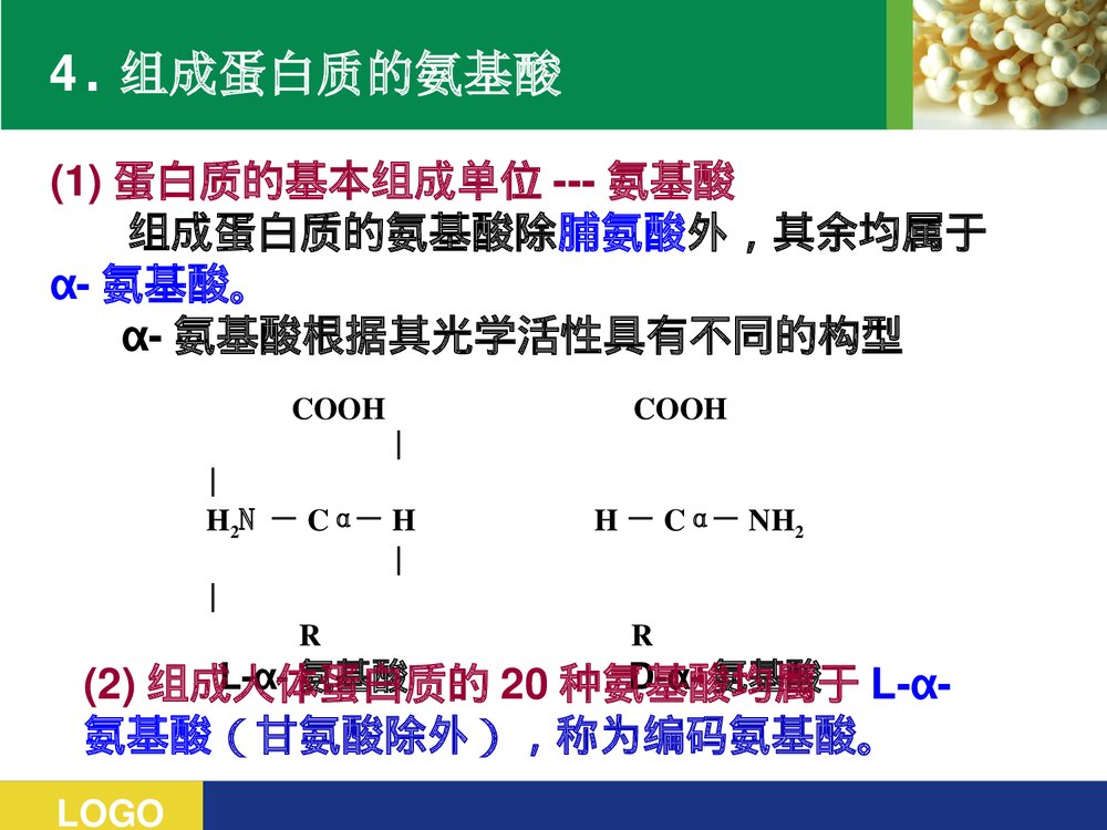 《蛋白质的结构与功能》高级生物化学PPT课件7