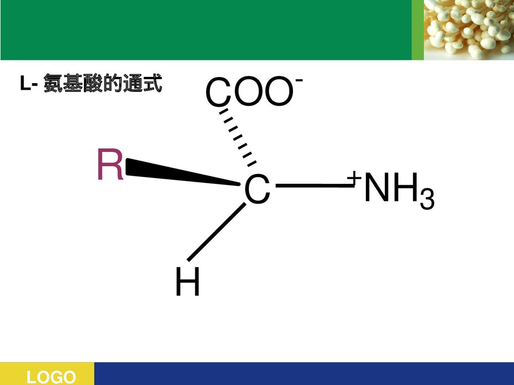 《蛋白质的结构与功能》高级生物化学PPT课件8