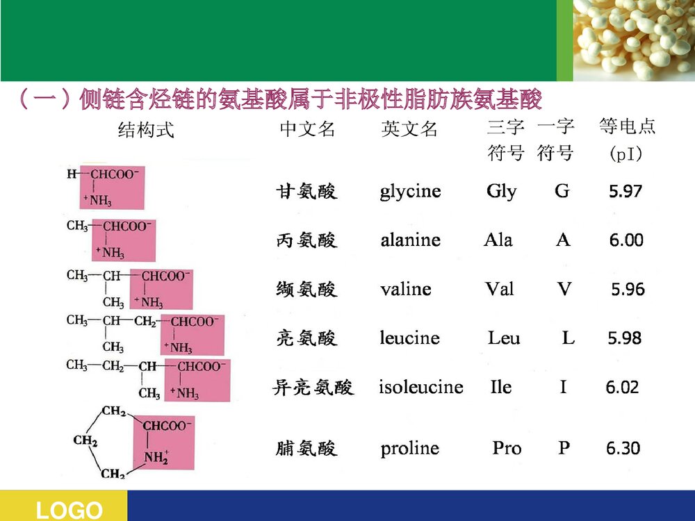 《蛋白质的结构与功能》高级生物化学PPT课件10