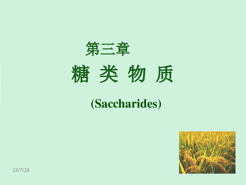 食品化学第2章糖类PPT课件下载（共126页）3