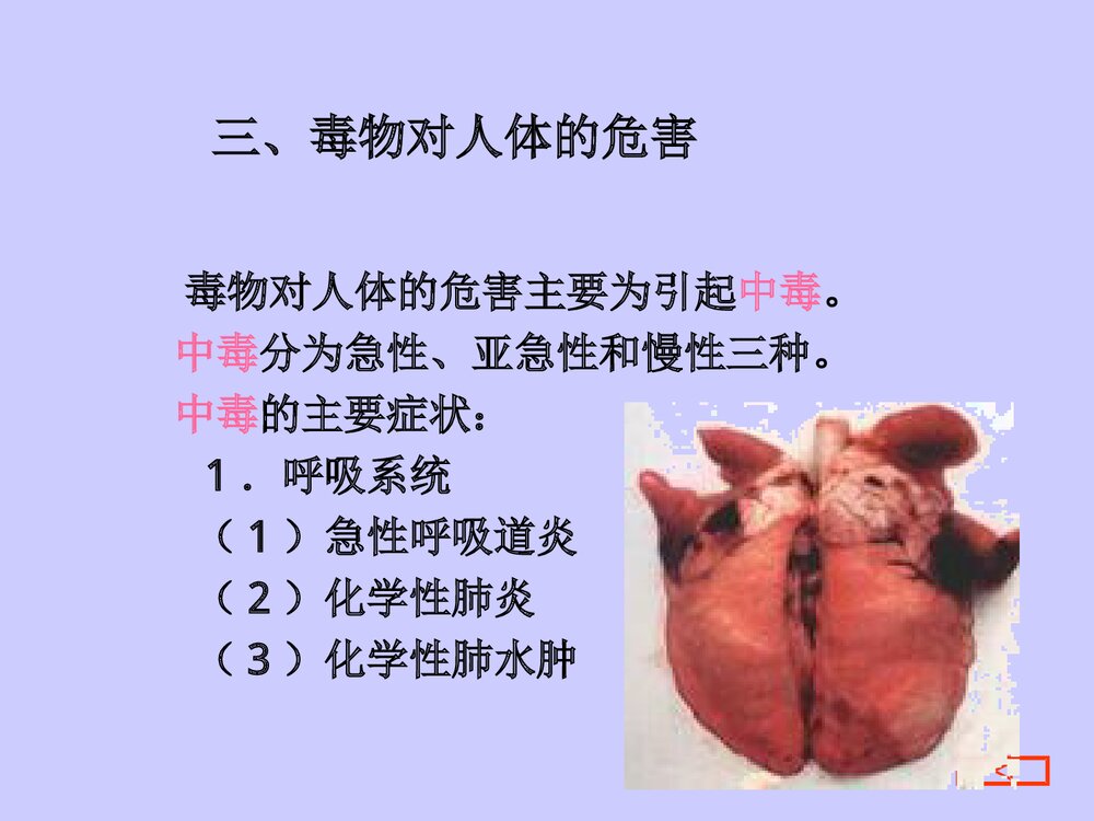 毒物与化学精品PPT课件(共27页)7