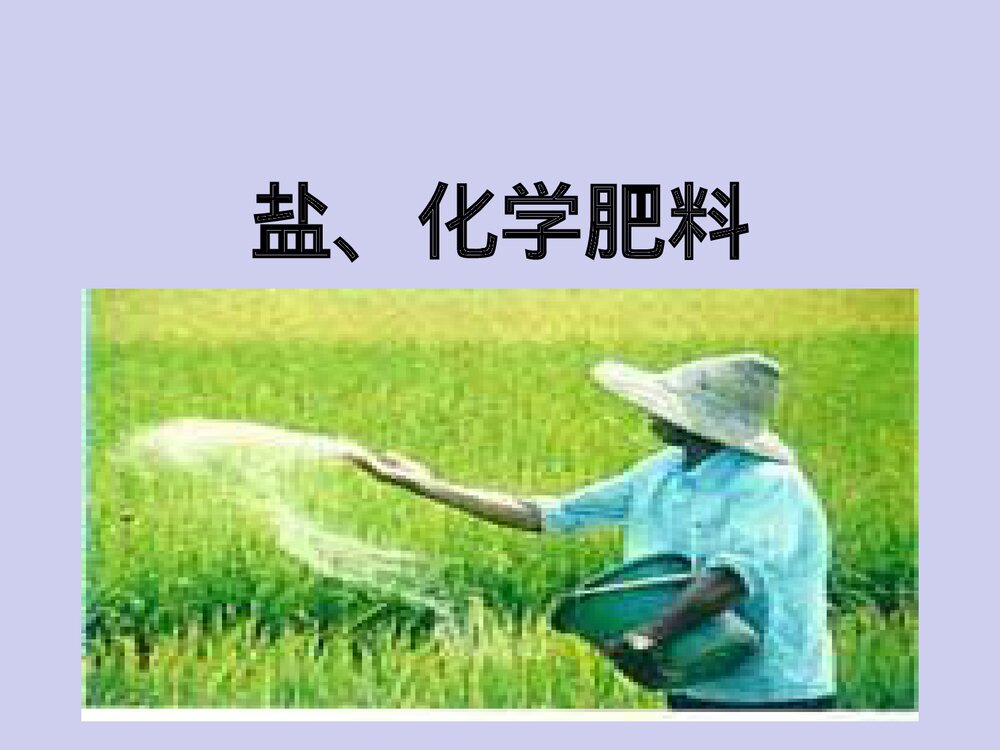 《盐、化学肥料》九年级化学PPT课件下载1