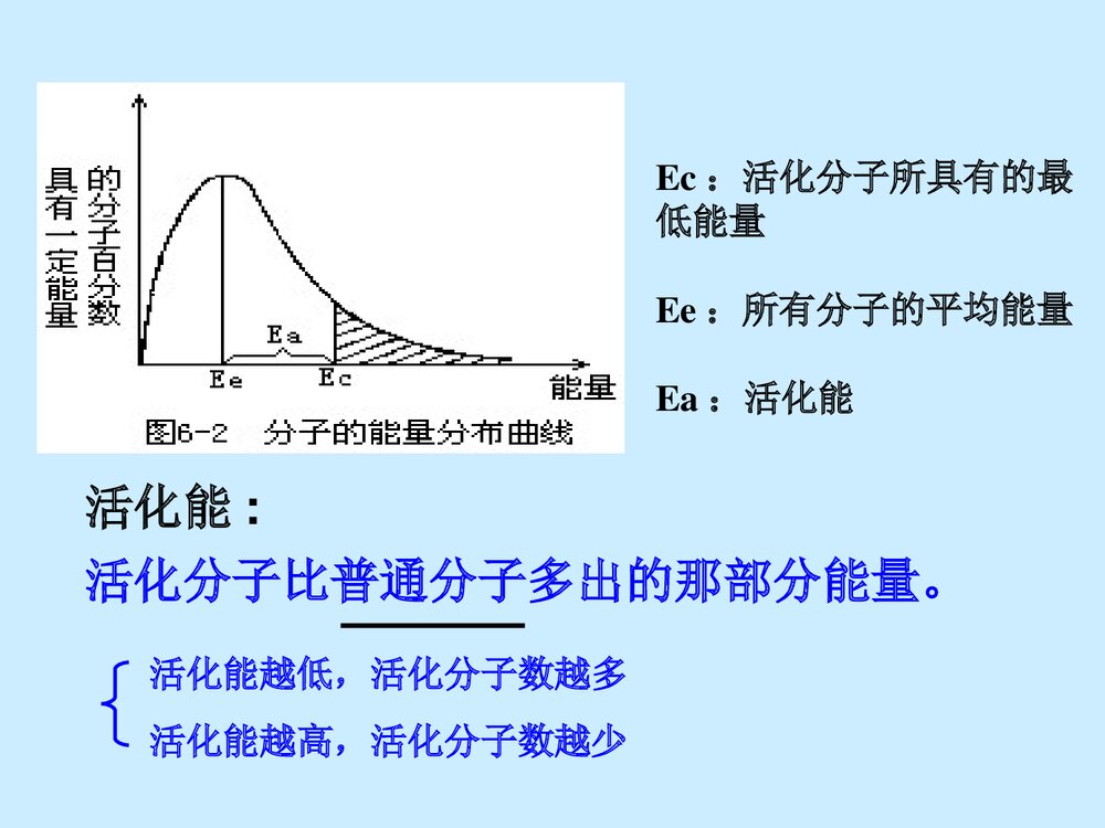 化学反应速率和化学平衡·影响化学反应速率的因素PPT课件下载5
