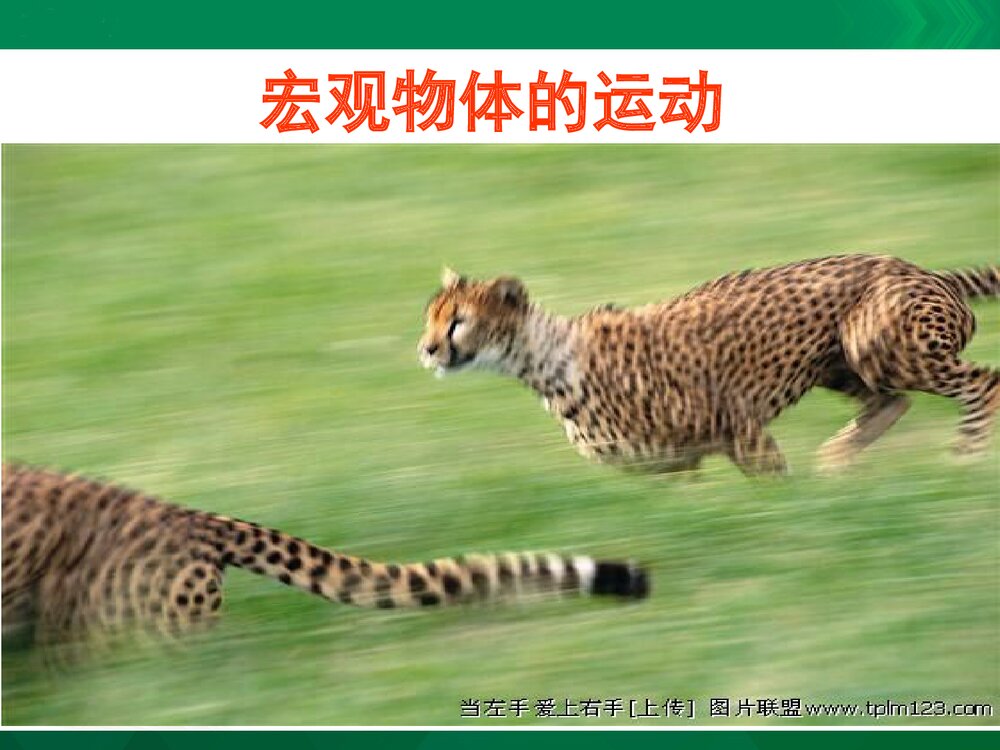 八年级教科版物理上册《2.1运动与能力 认识运动》PPT课件下载7