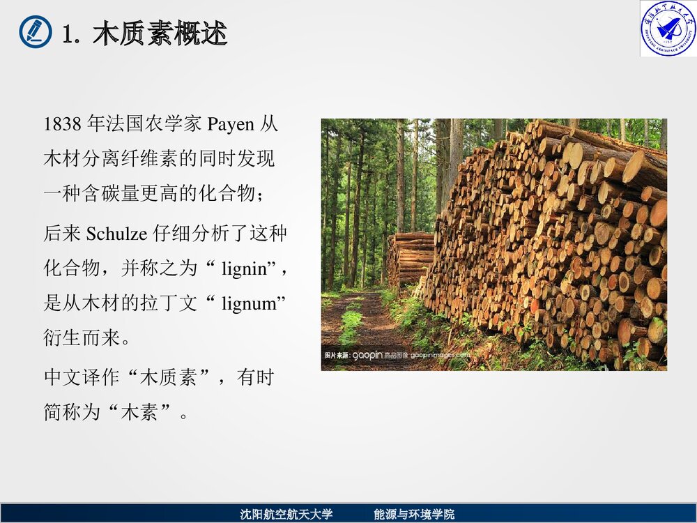 木质素化学反应动力学PPT课件下载(共29页)3