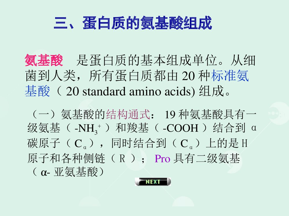 高中生物化学·蛋白质化学PPT课件下载(共179页)6