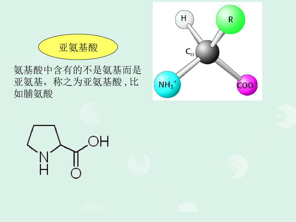 高中生物化学·蛋白质化学PPT课件下载(共179页)8