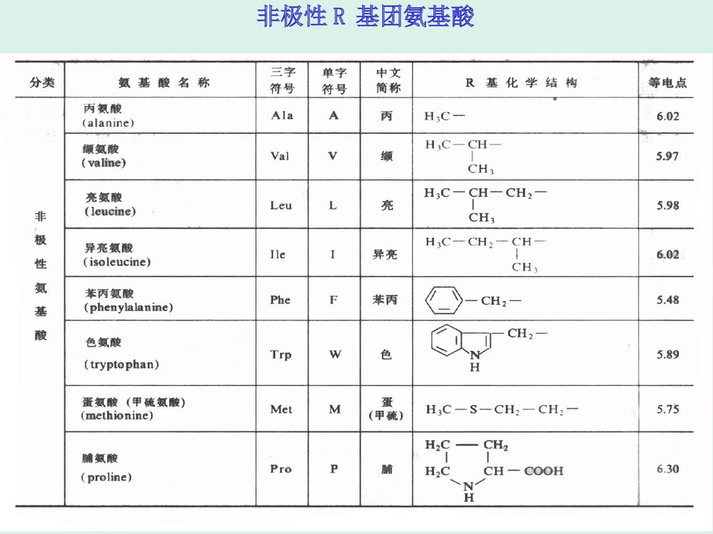 高中生物化学·蛋白质化学PPT课件下载(共179页)10