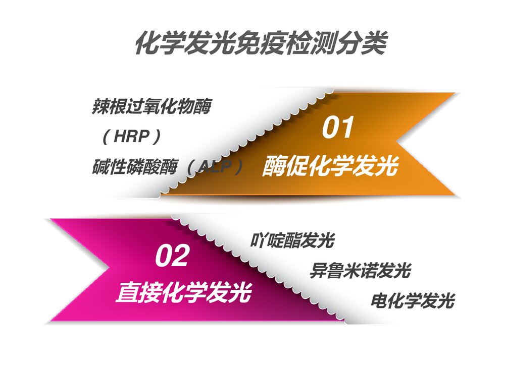 化学发光免疫检测PPT课件下载(共21页)3