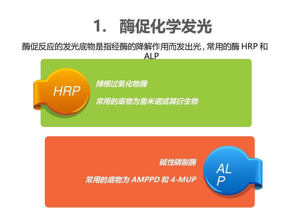 化学发光免疫检测PPT课件下载(共21页)4