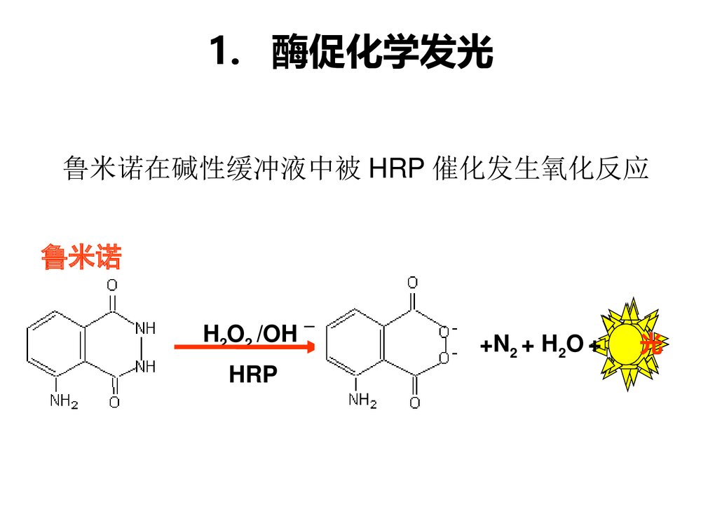 化学发光免疫检测PPT课件下载(共21页)5