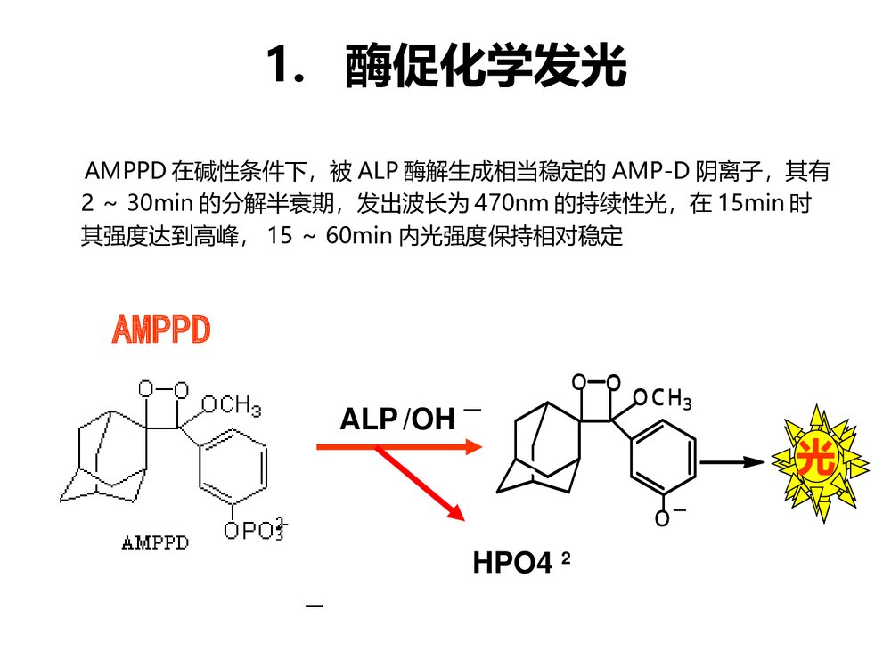 化学发光免疫检测PPT课件下载(共21页)6