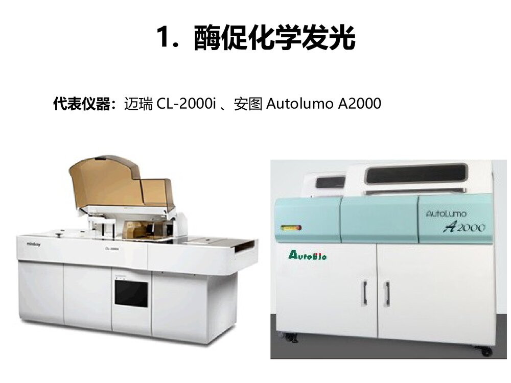 化学发光免疫检测PPT课件下载(共21页)9