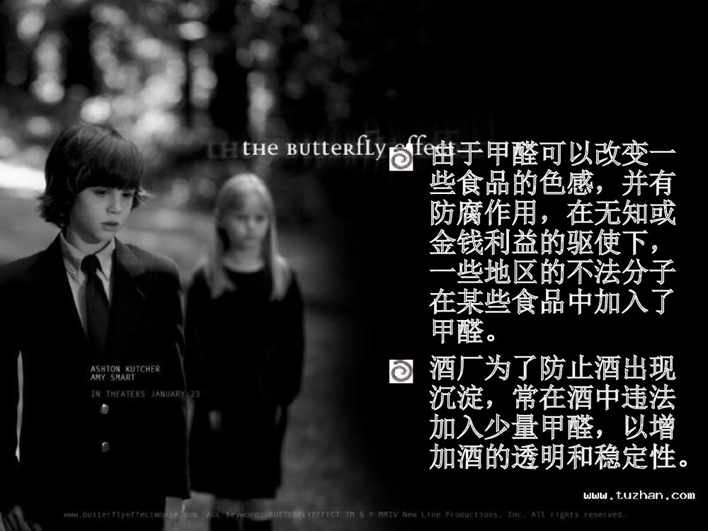 食品中甲醛的测定PPT课件下载4