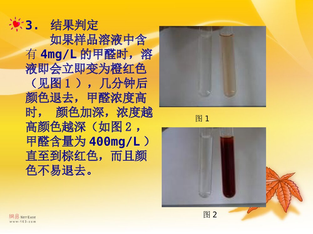 食品中甲醛的测定PPT课件下载8