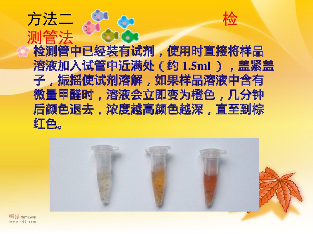 食品中甲醛的测定PPT课件下载9