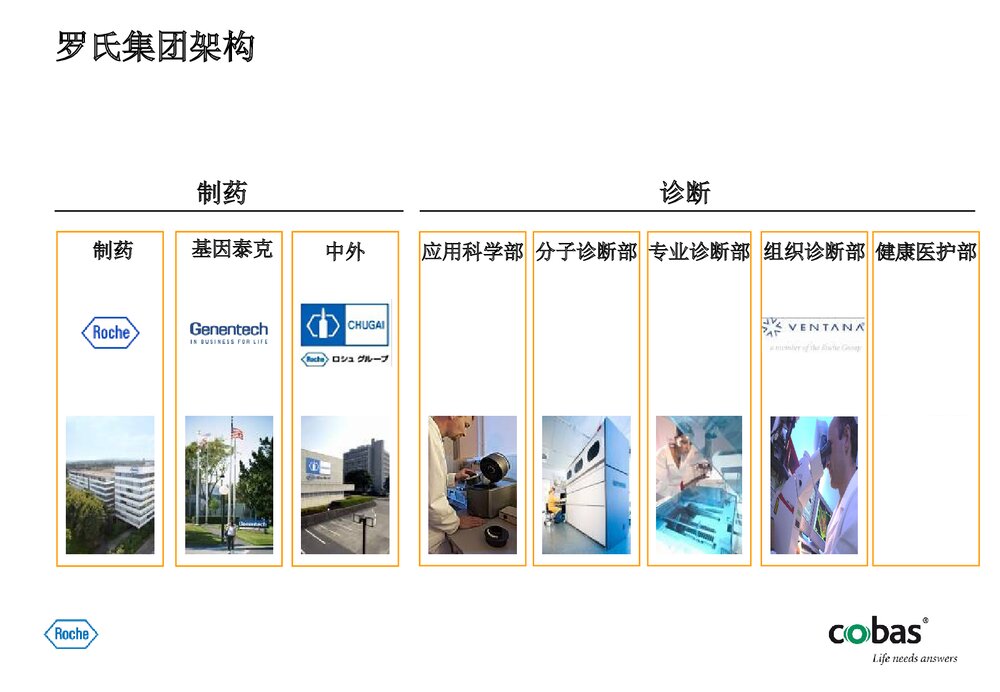 罗氏电化学发光部分项目介绍PPT课件下载5