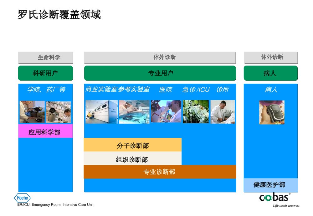 罗氏电化学发光部分项目介绍PPT课件下载6