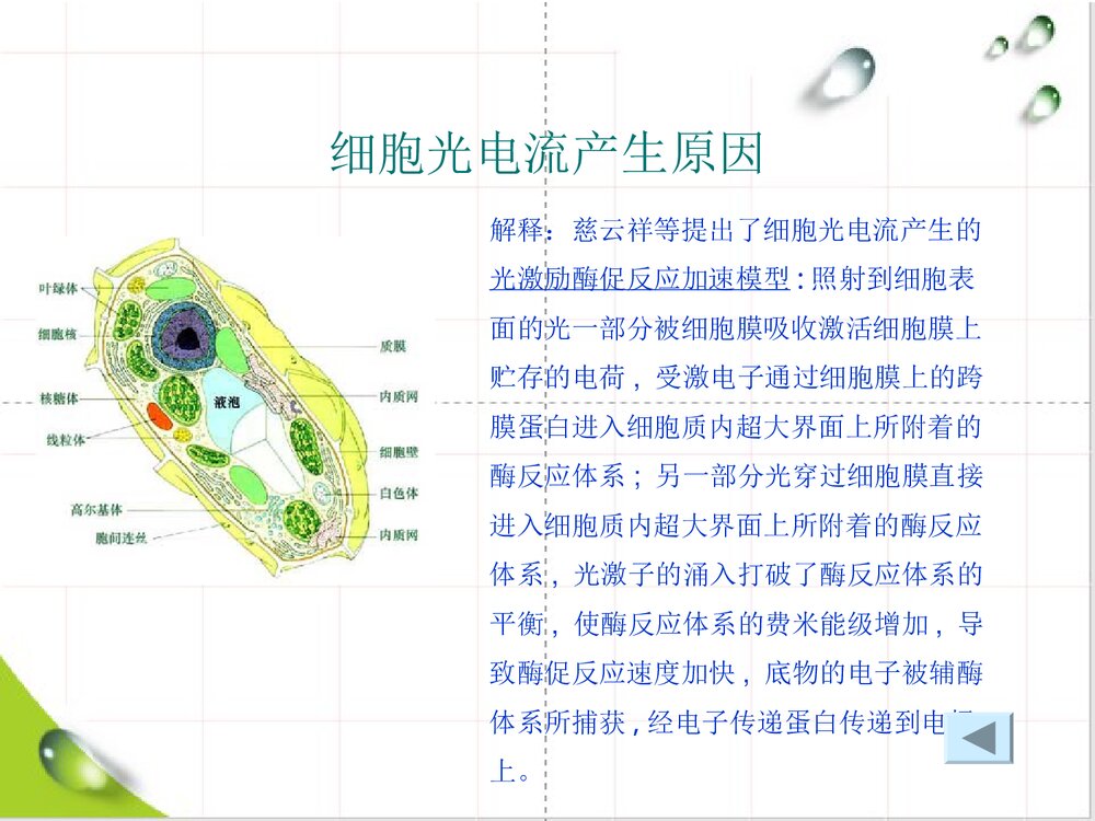 光电化学传感器PPT课件下载10