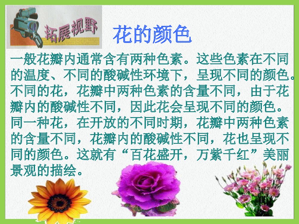 初中化学·常见的酸和碱PPT课件下载9