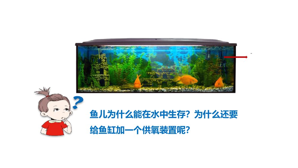 人教版九年级上学期化学PPT课件《第二单元 课题2 氧气(第1课时)》4