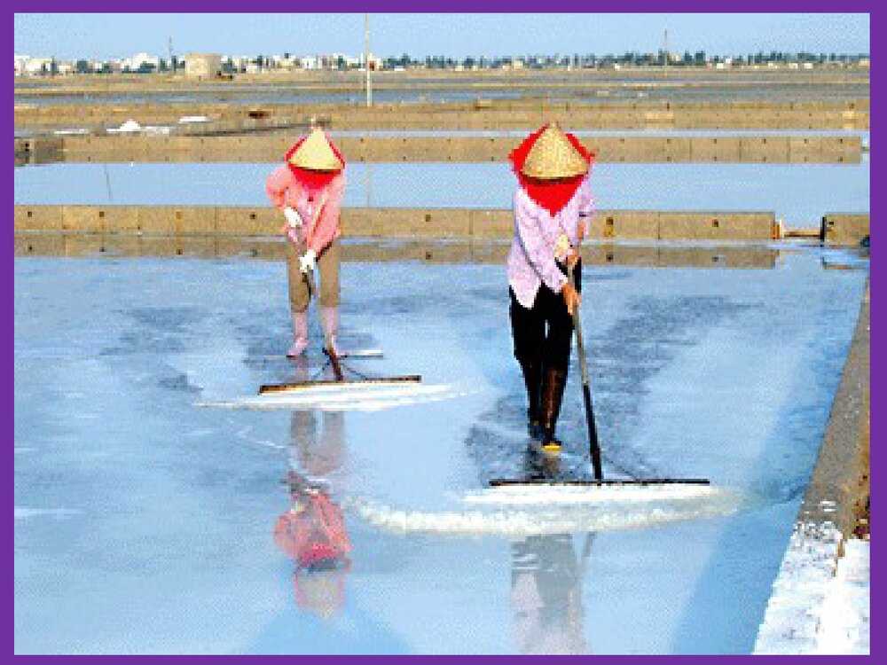 高中化学必修一《富集在海水中的元素--氯》PPT课件下载3