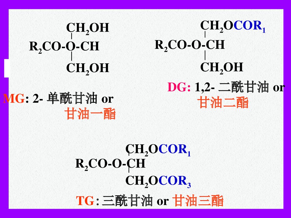 生物化学-第8章-脂代谢的PPT课件下载(共121页)3