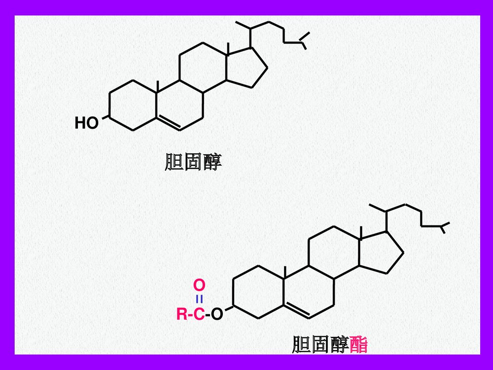 生物化学-第8章-脂代谢的PPT课件下载(共121页)4