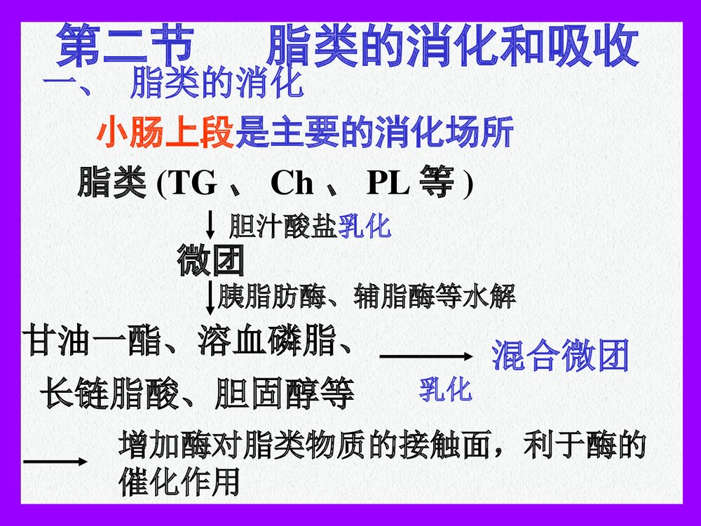 生物化学-第8章-脂代谢的PPT课件下载(共121页)10
