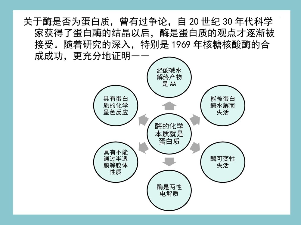 酶的化学本质及组成PPT课件下载(共28页)3