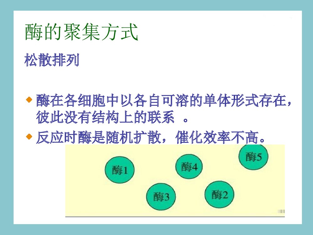 酶的化学本质及组成PPT课件下载(共28页)9