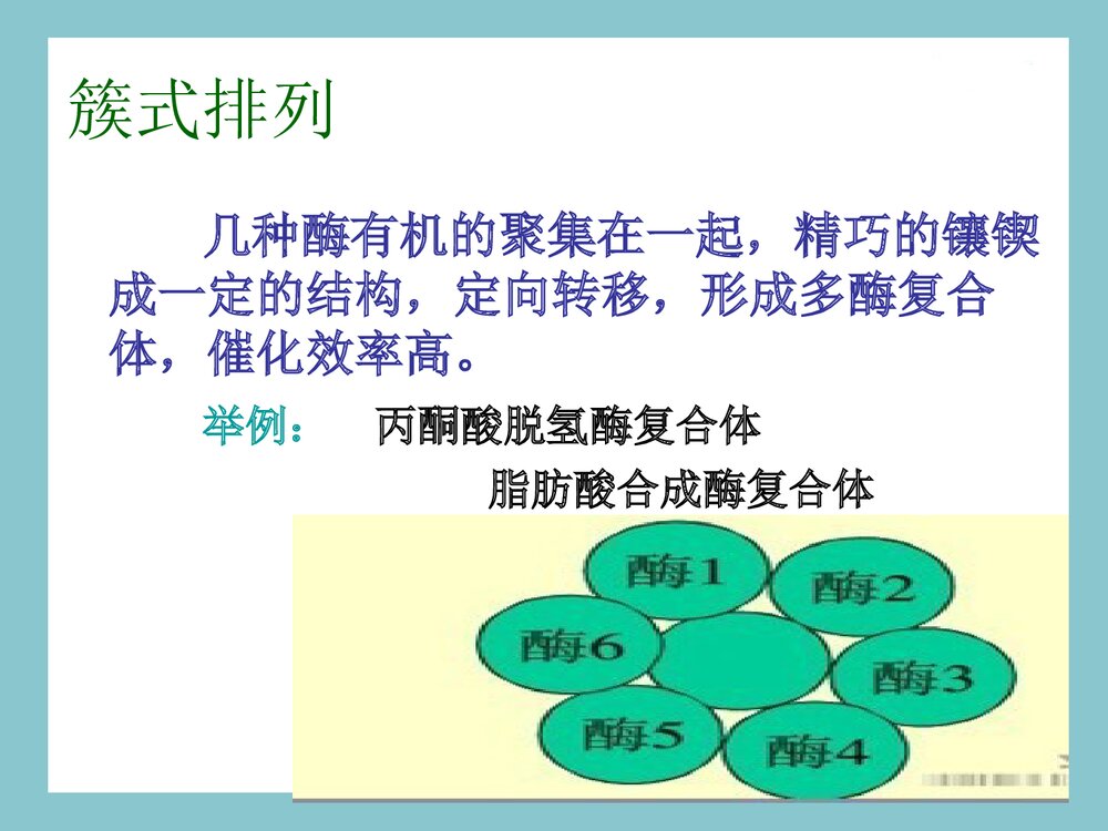 酶的化学本质及组成PPT课件下载(共28页)10