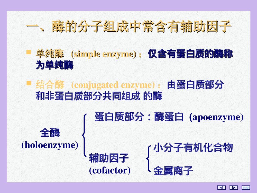 酶的化学结构PPT课件下载(共115页)7