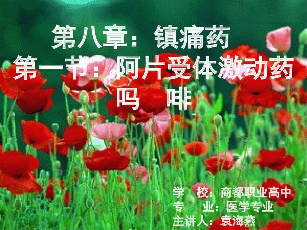 药物化学 第八章 镇痛要《第一节 阿片受体激动药吗啡》PPT课件下载1