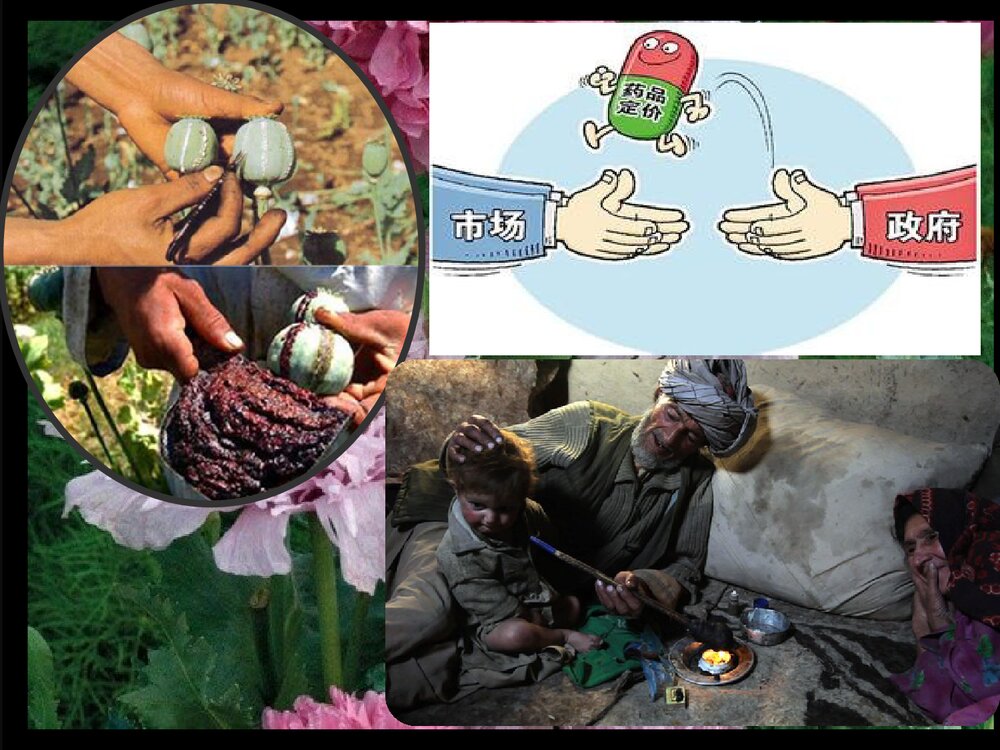 药物化学 第八章 镇痛要《第一节 阿片受体激动药吗啡》PPT课件下载2