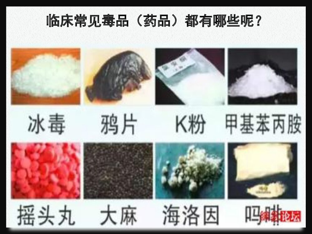 药物化学 第八章 镇痛要《第一节 阿片受体激动药吗啡》PPT课件下载3
