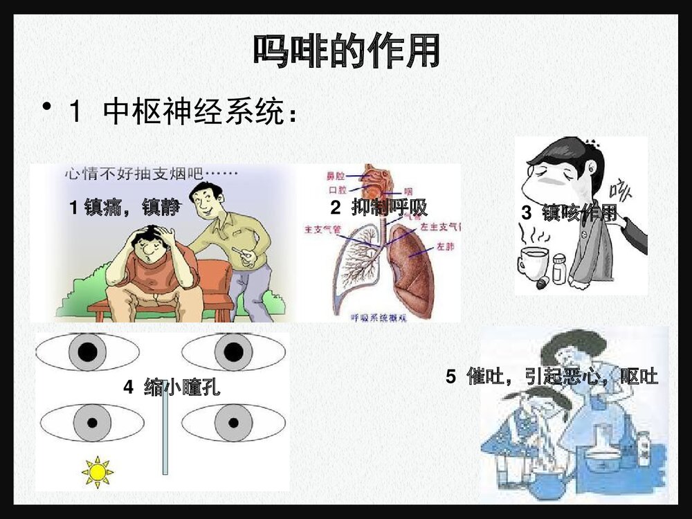 药物化学 第八章 镇痛要《第一节 阿片受体激动药吗啡》PPT课件下载7