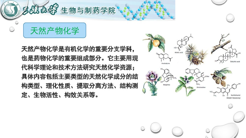 天然产物化学介绍PPT课件下载(共16页)6