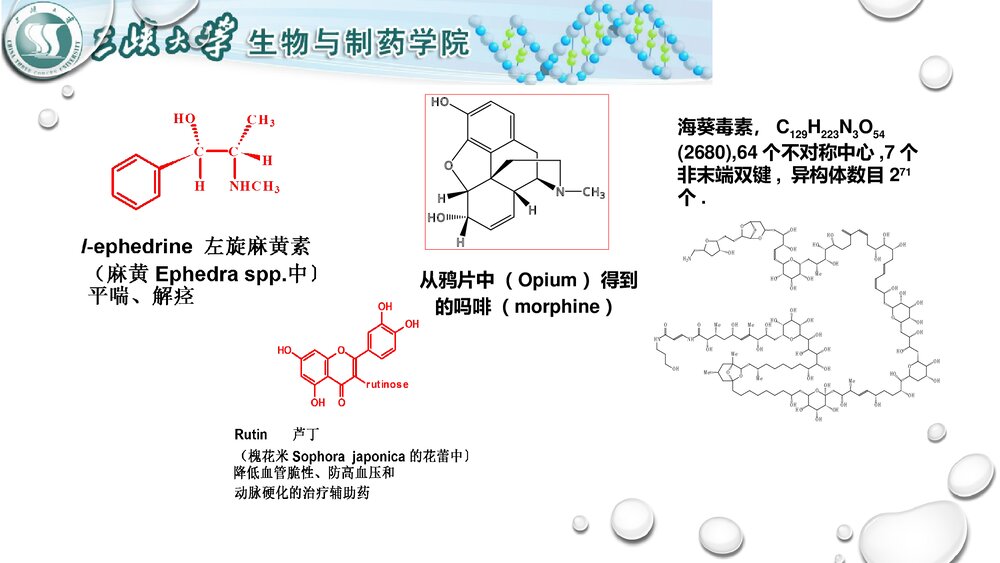 天然产物化学介绍PPT课件下载(共16页)7