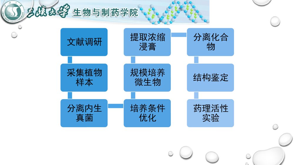 天然产物化学介绍PPT课件下载(共16页)8