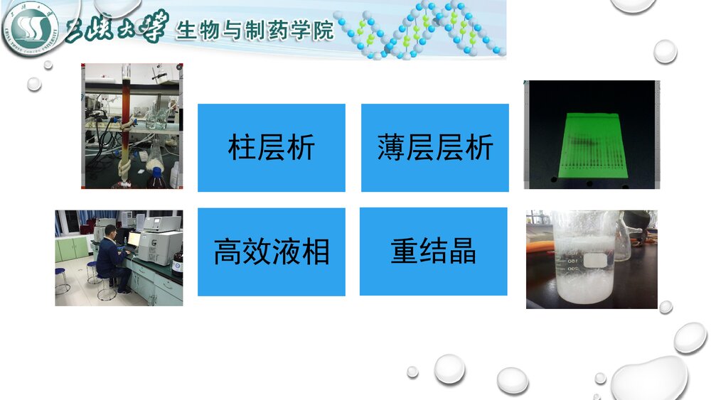 天然产物化学介绍PPT课件下载(共16页)10